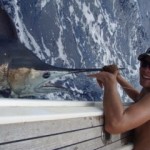 blue-marlin-photo-10