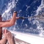 blue-marlin-photo-15
