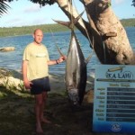 yellow-fin-photo-2
